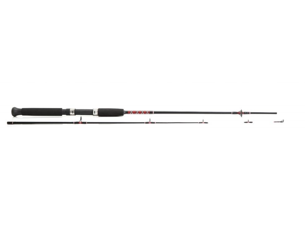 Force Ten GX 10' 2-6kg 2pc Light Surf Beach Spinning Fishing Rod Salmon Tailor
